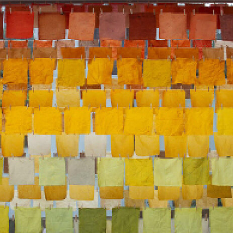 04 ESTUDIO color lab MOSAICO IMG_0017.jpg